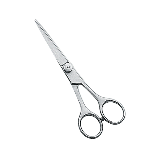 Barber and Dressing Scissors
